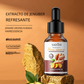 SADOER Ginger Refreshing Shampoo for Smooth Hair